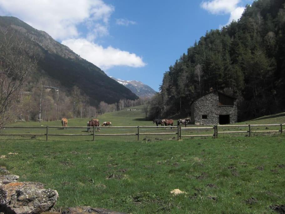 Apartament Gran Pirineu Montferrer Exteriér fotografie